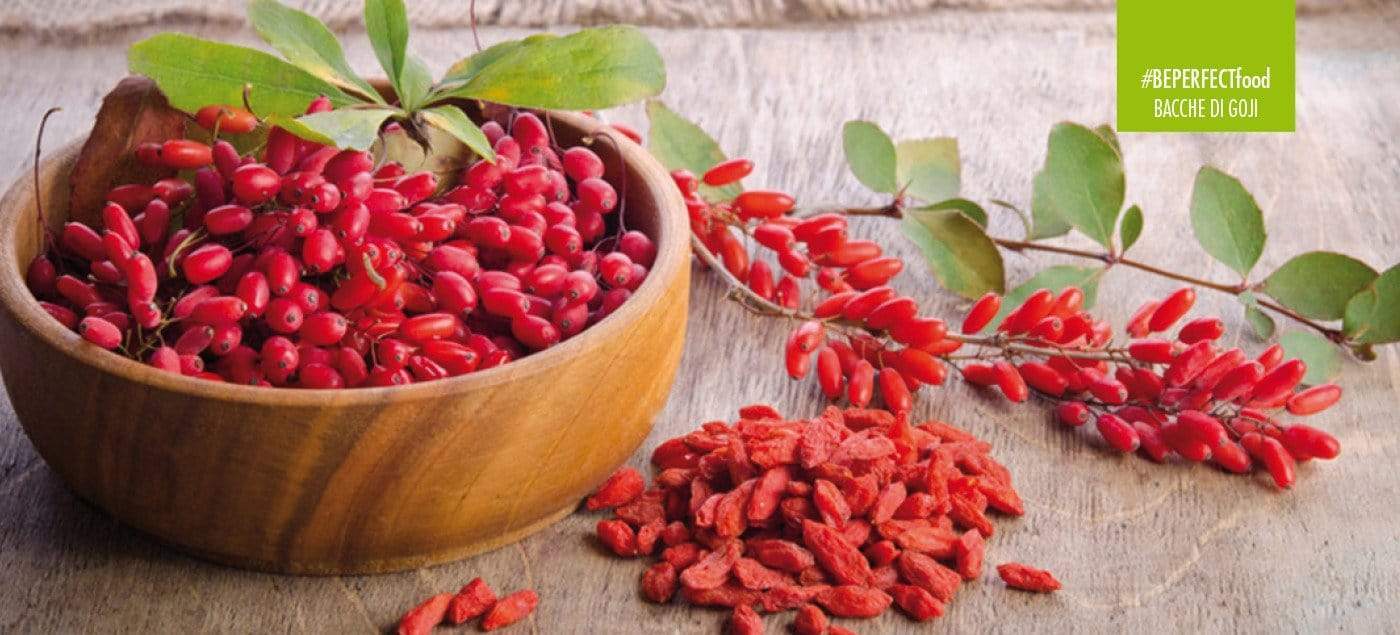 BACCHE DI GOJI